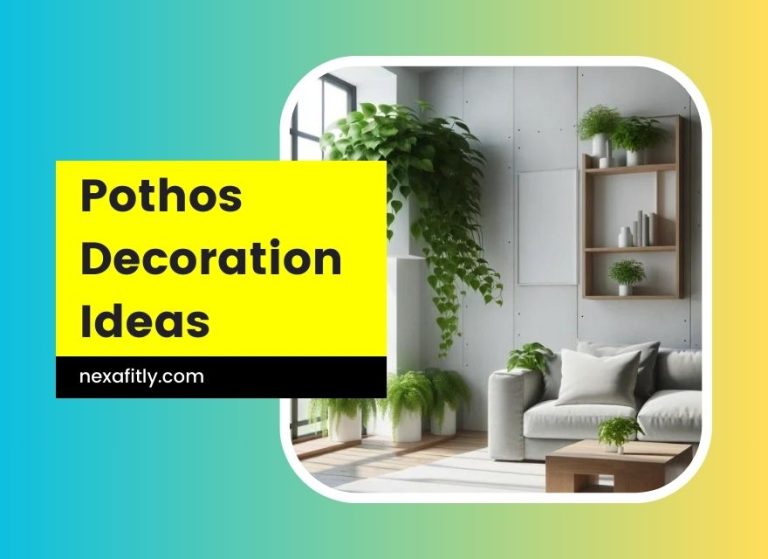 🌿 21 Creative Pothos Decoration Ideas for Every Room in Your Home 🏡